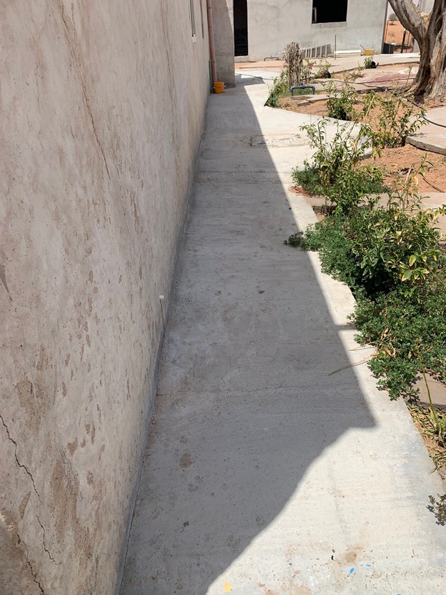 気温が上がってきて、それぞれお気に入りの涼しい場所へ猫ちゃんたちは移動（提供写真）