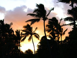 オトナになったら改名してこんな名前とサヨナラするって決めていた