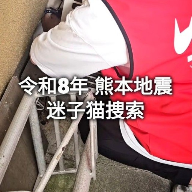 令和8年熊本地震での迷子猫捜索現場（「つかねこ動物愛護環境福祉事業部」さん提供、Instagramよりキャプチャ撮影）