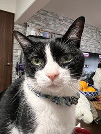 「何匹減った？」美容室での一言に傷ついたという（寧々子さん提供）