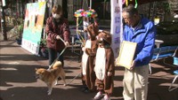 来年は「亥い年」に…犬からイノシシへ　動物園で干支の引き継ぎ式　岡山市