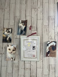 生前に貰った長寿表彰状