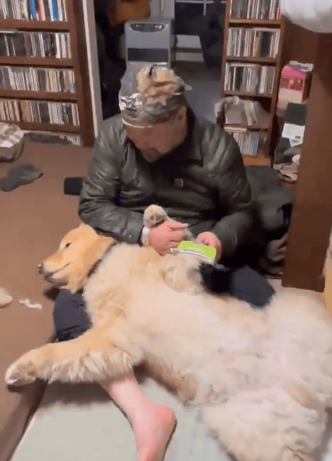 お父さんにブラッシングされるディッパーくん