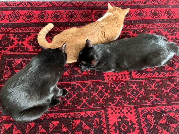 一緒に頑張ろうね！

