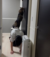 「すね毛とほたて」…“謎の遊び”を繰り広げている（飼い主さん提供）