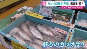 生鮮カツオ水揚げ２８年連続日本一　宮城・気仙沼で記録的な不漁に