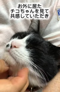 あれから、7年。いまは安心できる場所で、穏やかに暮らしている（藤田敬子さん提供、Instagramよりキャプチャ撮影）
