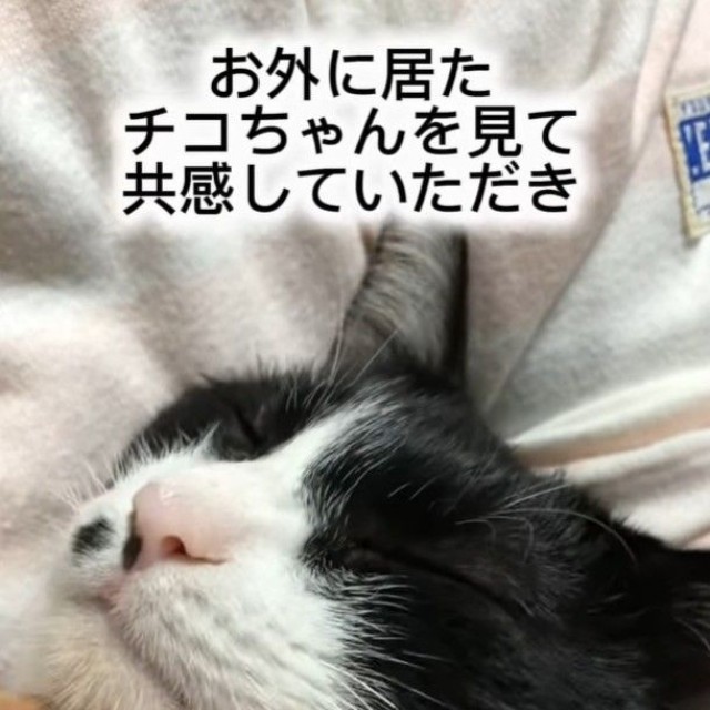 あれから、7年。いまは安心できる場所で、穏やかに暮らしている（藤田敬子さん提供、Instagramよりキャプチャ撮影）