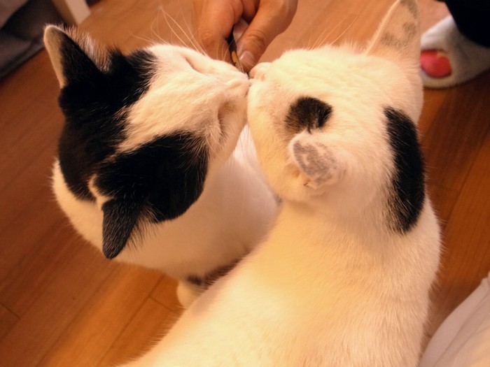 姉妹のように仲良し