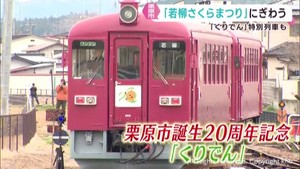 宮城県栗原市「若柳さくらまつり」　市誕生２０周年記念「くりでん」特別列車も