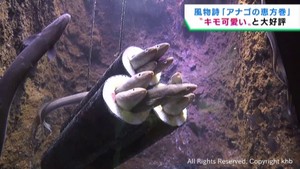 習性を生かしてアナゴの恵方巻を展示　仙台うみの杜水族館