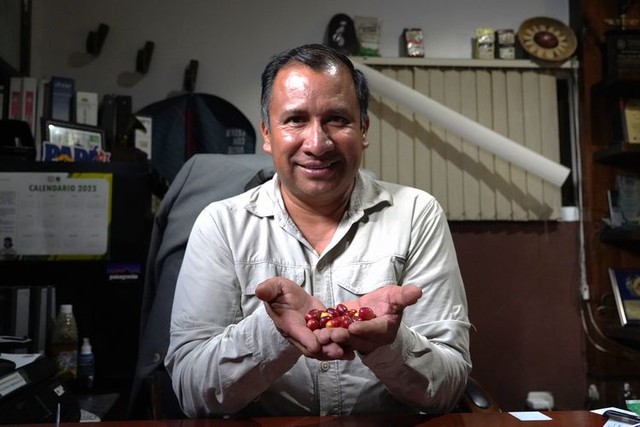 赤く熟したコーヒー豆を手にするアソバグリのバルタザル・フランシスコさん=2024年9月18日、グアテマラ西部バリリャス、荒ちひろ撮影