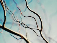 便利さに支配されてもなお、デジタルとアナログの二刀流で生きていく