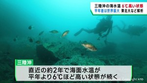 三陸沖の水温が平年よりも６℃上昇　魚の生育や気象に大きく影響か　東北大学