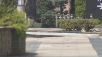 高松市浜ノ町　17日午前11時ごろ