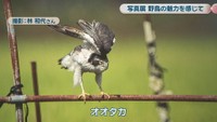 撮影：林和代さん