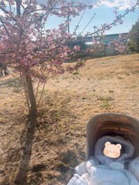 ぱやさんが最初に撮影した写真（ぱやさんXより）