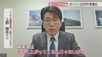 ニッセイ基礎研究所 主席エコノミスト／上野剛志さん