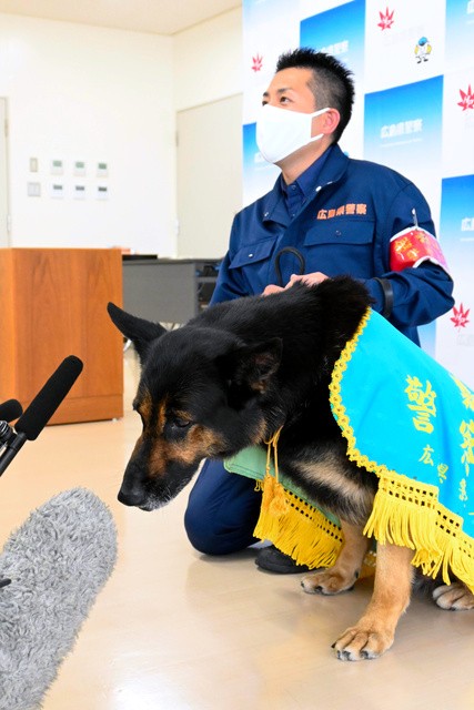 取材対応中、マイクに興味津々のドン号=2021年5月14日午後1時30分、広島東署、松尾葉奈撮影