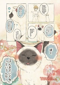愛猫を想う猫飼いの心を代弁したかのような作品