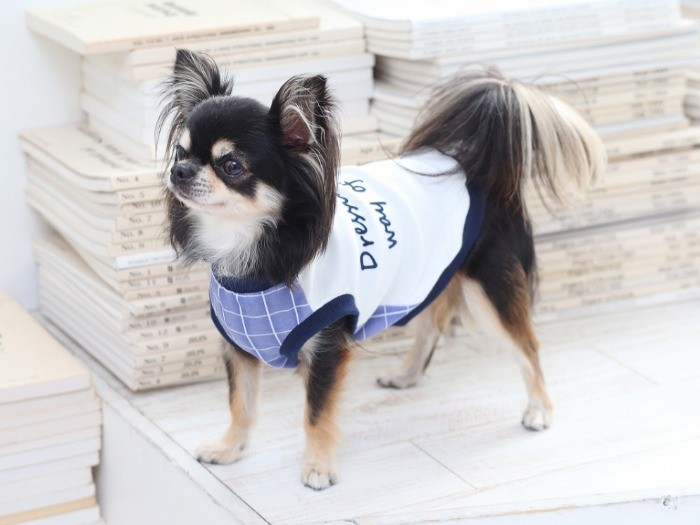 タンクトップ。前と後ろの生地を変えると印象が変わる。