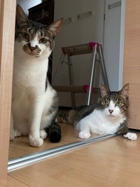 とっても仲良し（左から）でんすけくん、王子くん（画像提供：でんすけ劇場さん）