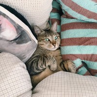 ぶんぶんくん、びっくりしたような表情もキュートだね