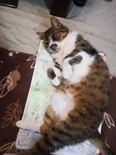 「前に住んでいた家は、地図でどのあたりかな」（和香子さん提供）