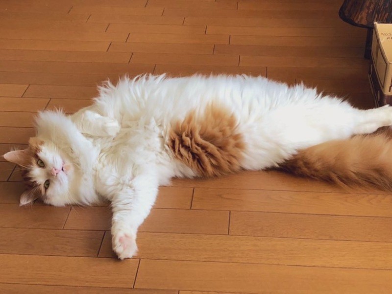 「体が大きいので目立つと思いましたが、なかなか見つけられませんでした」と渡辺さん（渡辺さん提供）