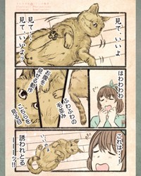 【漫画】『今日もネコ様の圧が強い』11　©Uguisu Utako