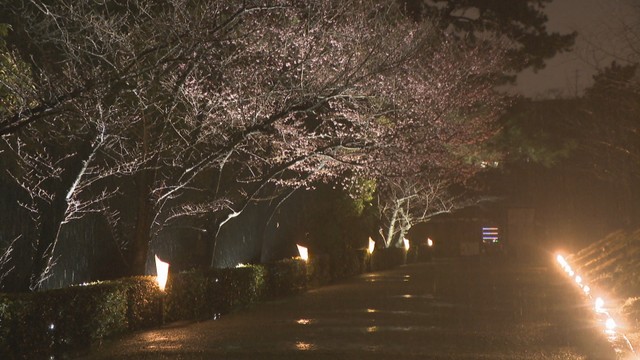 2026年 栗林公園春のライトアップ期間に6万1129人来場　高松市