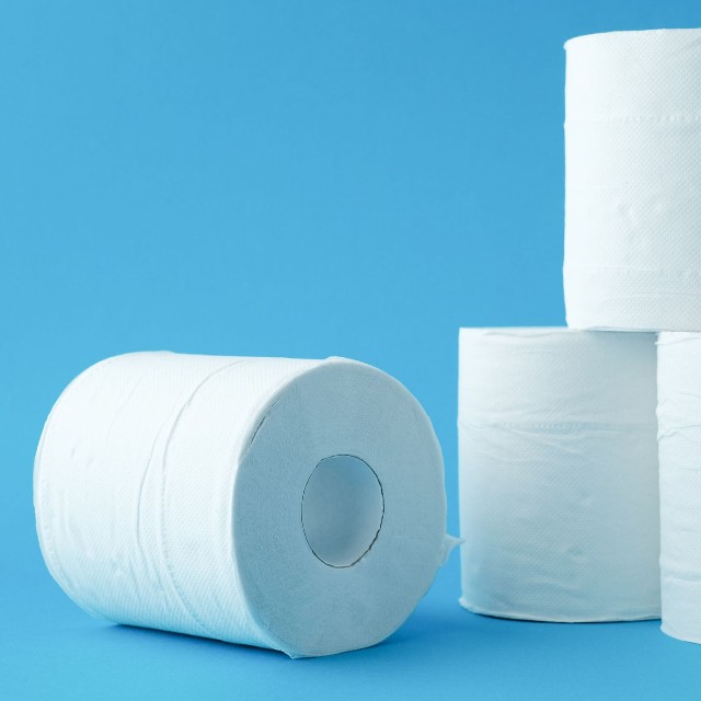 トイレットペーパーで作る「ペーパーポット」とは※画像はイメージです（tnehala/stock.adobe.com）