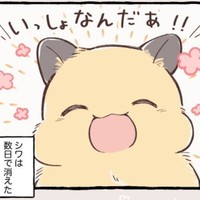 シワは数日後に消えて一安心（しらほし卯乃さん提供）