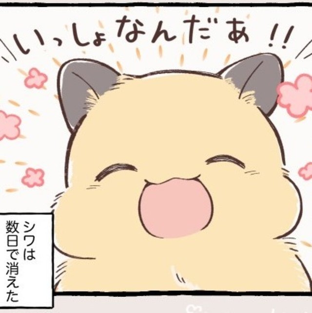 シワは数日後に消えて一安心（しらほし卯乃さん提供）