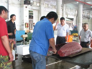 日本と台湾、クロマグロの保護も課題