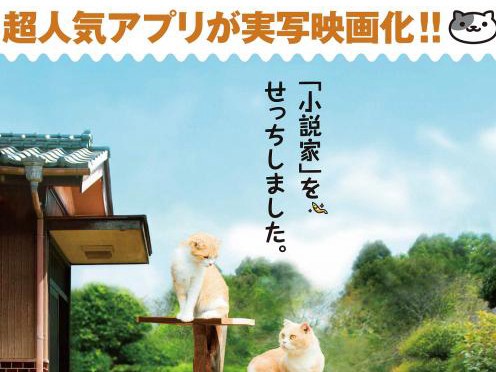 人気アプリ「ねこあつめ」実写映画化　メインキャット発表！