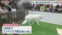 いきものワールド in コンベックス岡山