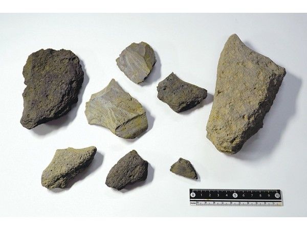 小学校で旧石器時代教えて」 ｜ 朝日小学生新聞 | 朝日中高生新聞
