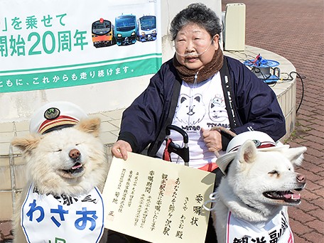 もこもこ秋田犬「わさお」のお母さん　菊谷節子さんが死去