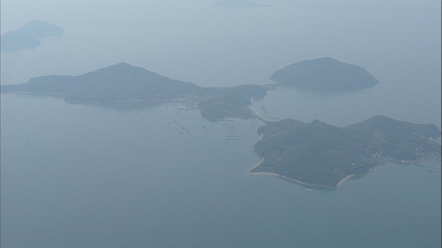 赤潮被害の疑い　香川・粟島沖でトラフグ1万8000匹が死ぬ