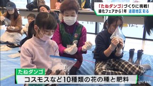 都市緑化仙台フェア１周年　追廻地区で「たねダンゴ」作り