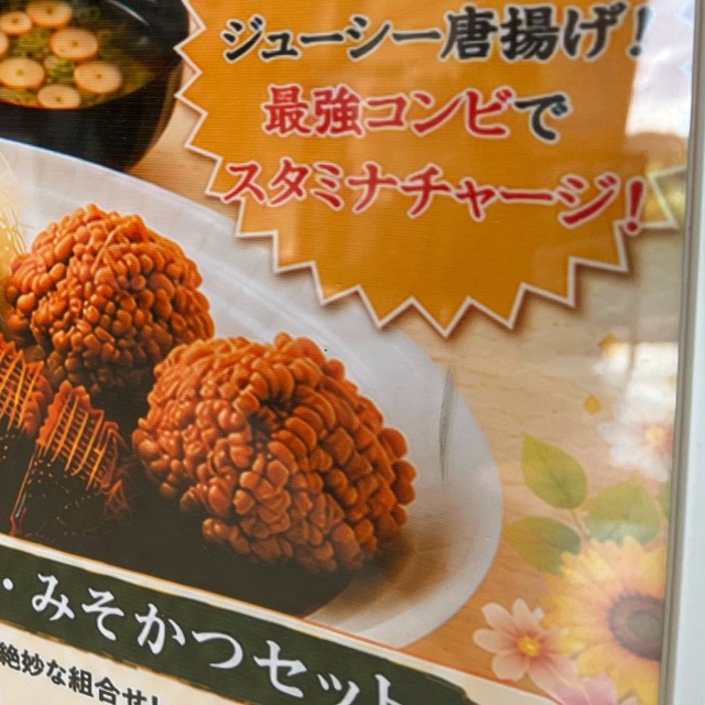 サービスエリアのレストラン前を通りがかると…（たびこさん提供）