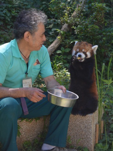 リンゴを食べる風太の三男クウタ