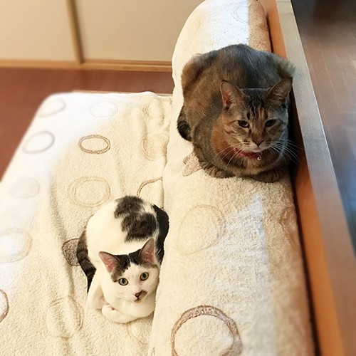 「写真撮ってるの？」