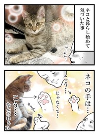【漫画】『ネコまんがまとめ』1　（も～さんの提供）