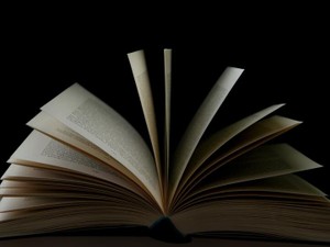 フリーターになり充実した読書時間。本の中で他人に出会うこともできる