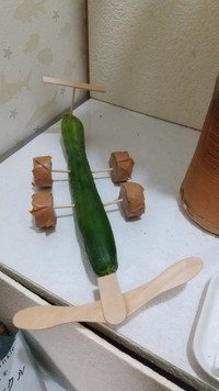 プロペラ機の精進馬（たもさん提供）