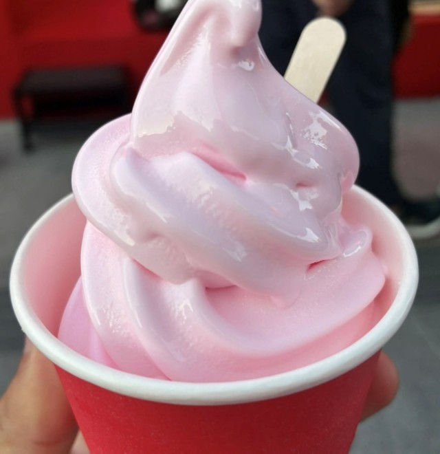 大阪万博はアイスクリームのワンダーランド！一目瞭然マップ＆金額表が