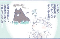 生き残るために外では忍者のように気配を消す（いとうもちこさん提供）