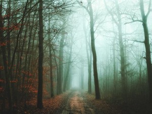 解説者の言葉が心に突き刺さる。私は笑って聞き流すわけにはいかない